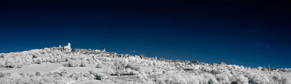 Laurent Thion - 2022-06-27-299350_IRR7386