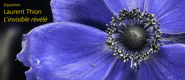 Laurent Thion - affiche_laurent_thion_v4